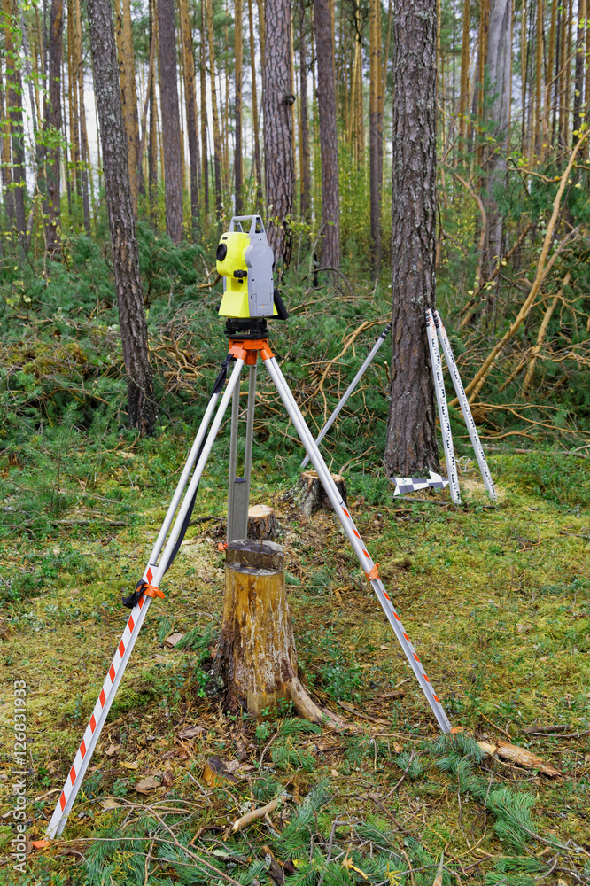 Station and leveling rod and arrow in the forest