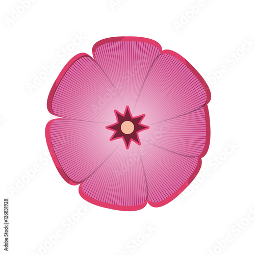 flower floral beauty icon vector illustration graphic design © djvstock