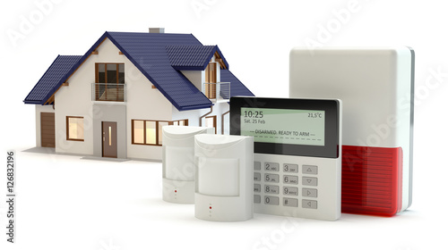 Cuadro en lienzo Alarm system and house