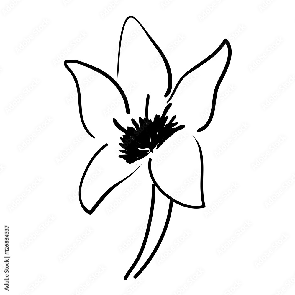 flower floral beauty flower floral beauty