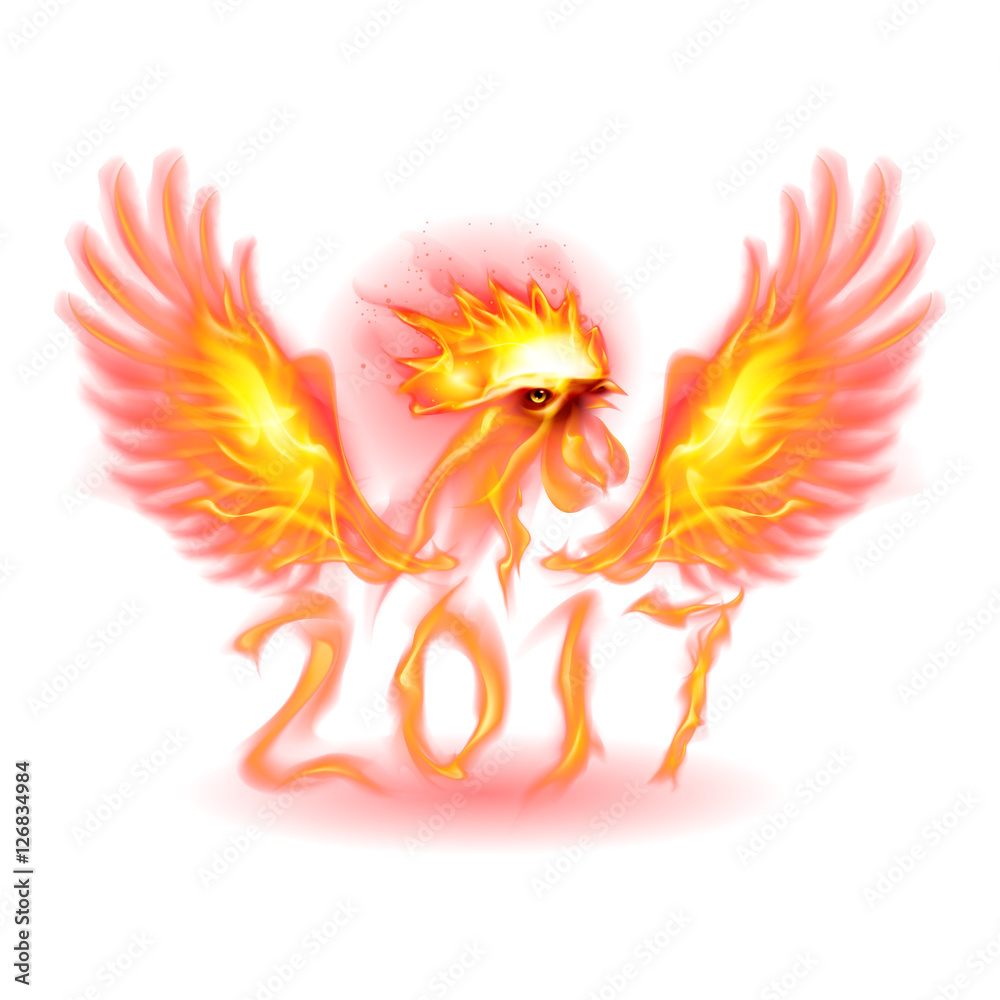 Fototapeta premium Fire Rooster