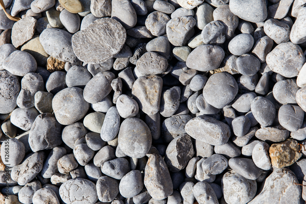Marine pebbles on beach summer Marine pebbles on beach summer