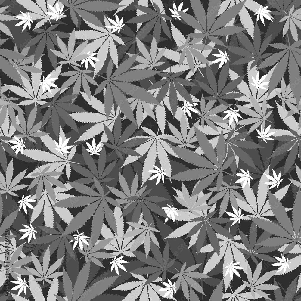 Seamless cannabis pattern Seamless cannabis pattern