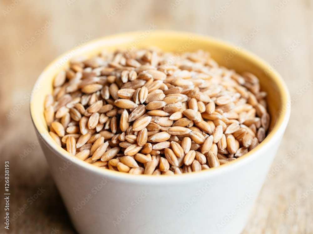 Spelt grains in a small bowl Spelt grains in a small bowl