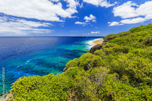 Niue island. Hikutavake reef in Alofi,