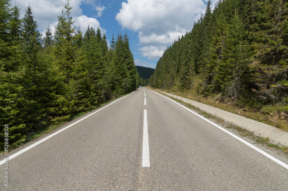 Fototapeta premium Straight mountains road