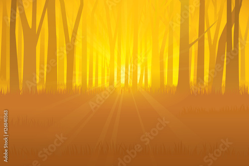 Forest with twilight. Vector illustration © Manovector