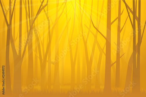 Forest with twilight. Vector illustration
