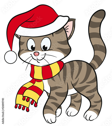 Niedliche Katze in Winterkleidung 