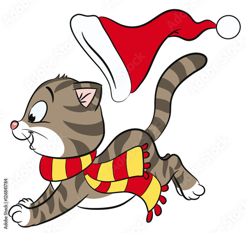 Niedliche Katze in Winterkleidung 