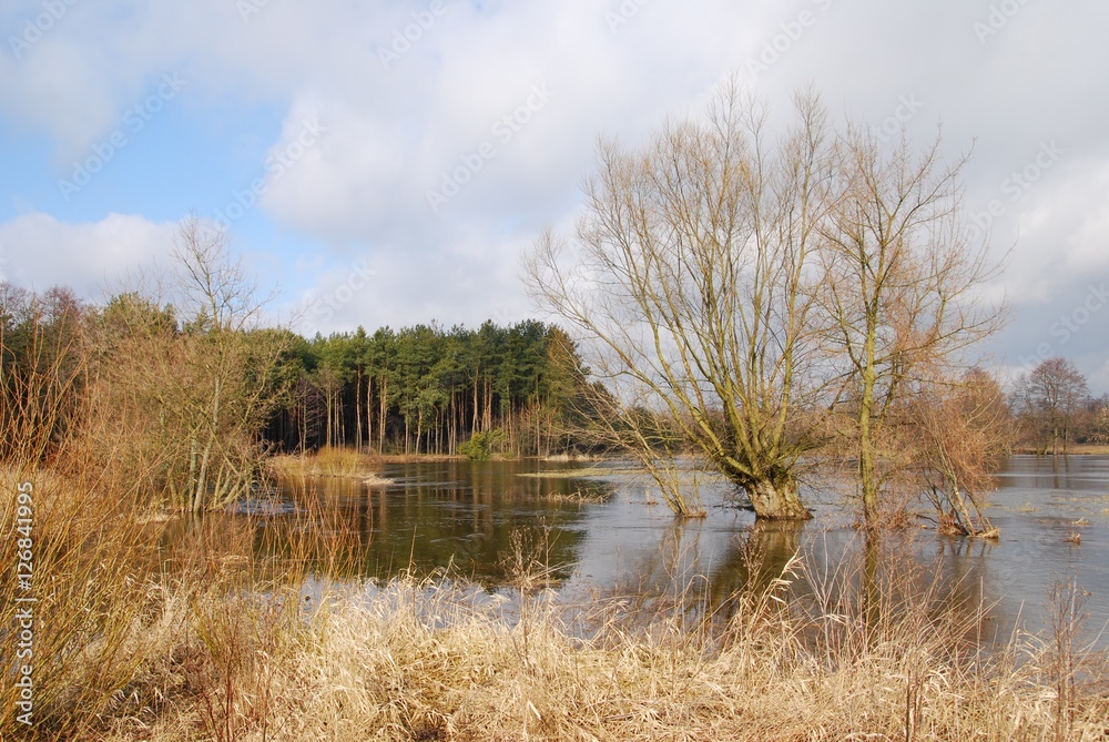 Fototapeta premium Spring flood