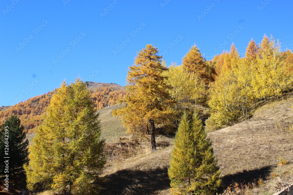 Fototapeta premium sestriere