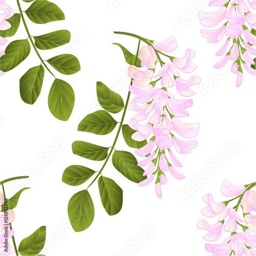 Seamless texture Locust tree twig with leaves and flowers vintage vector illustration