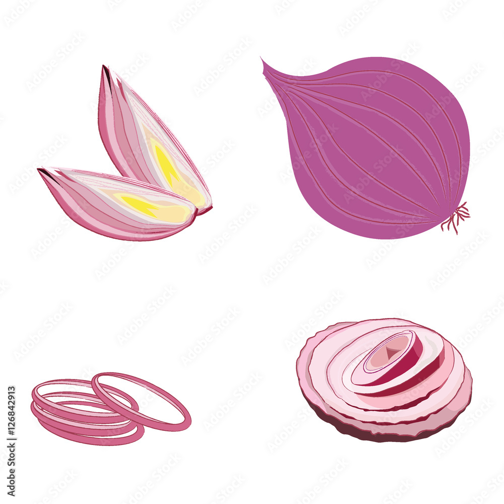 Red onion and slice isolated