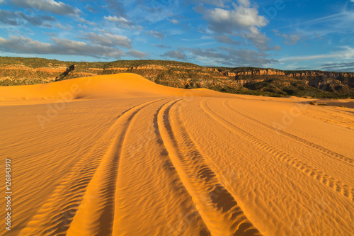 Coral Pink Sand Dunes State Park Utah