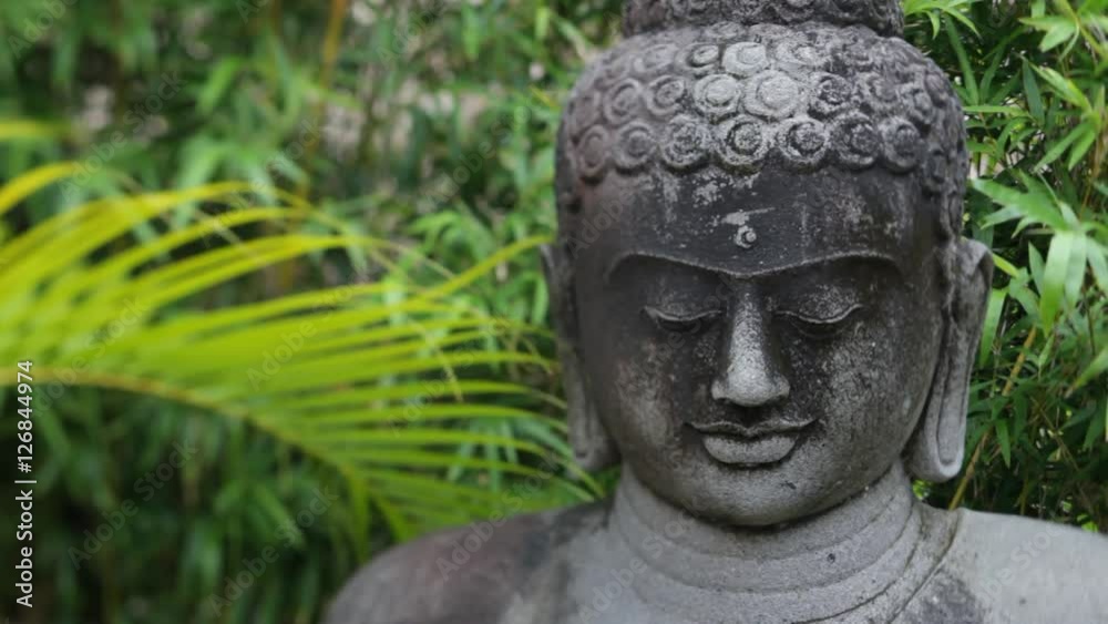 CU Statue of Buddhas face surrounded by plants CU Statue of Buddhas face surrounded by plants