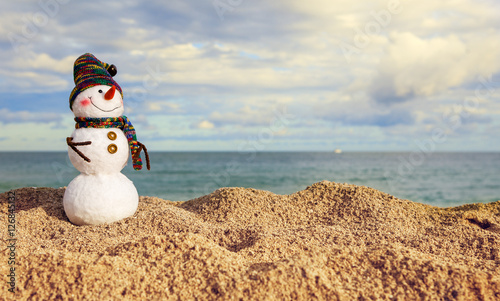 Smiling snowman on the sea beach