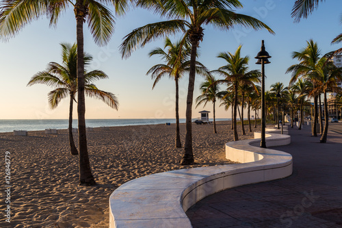 Fototapeta Naklejka Na Ścianę i Meble -  palm tree at tropical beach/ Peaceful early morning at Fort Lauderdale beach , FL 