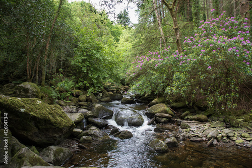 nature10