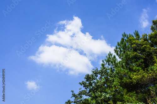 The mountains scenery with blue sky