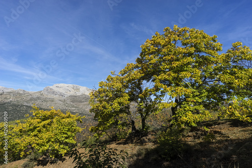 vistas del hermoso valle del Genal en la provincia de Málaga, Andalucía