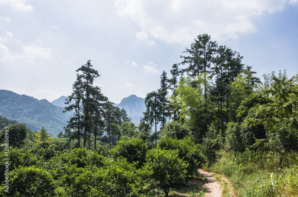 The mountains scenery with blue sky