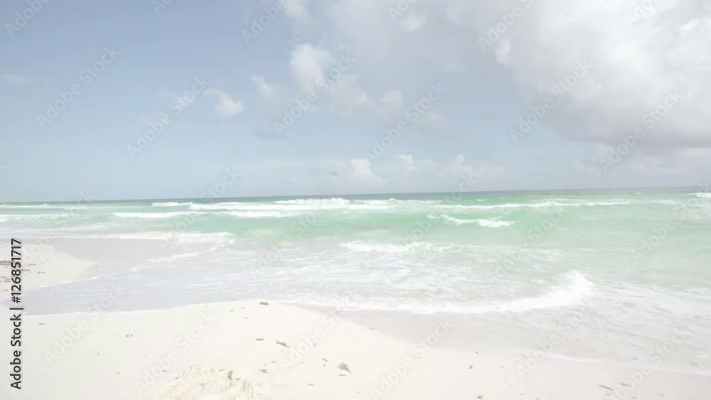 Tropical White Sand Beach Tropical White Sand Beach