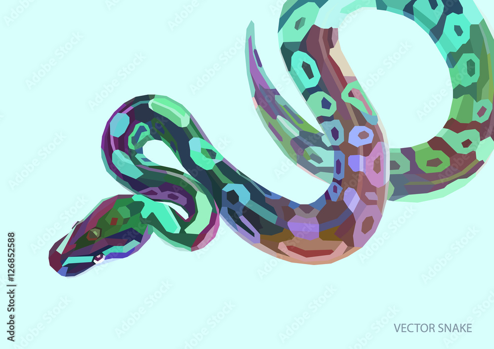 Obraz premium Fajny barwny plakat z anakondą lowpoly.