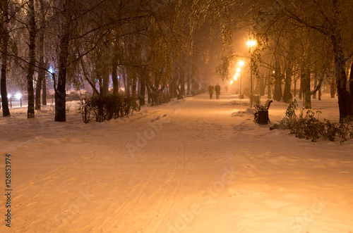 Winter night snow falls in the park
