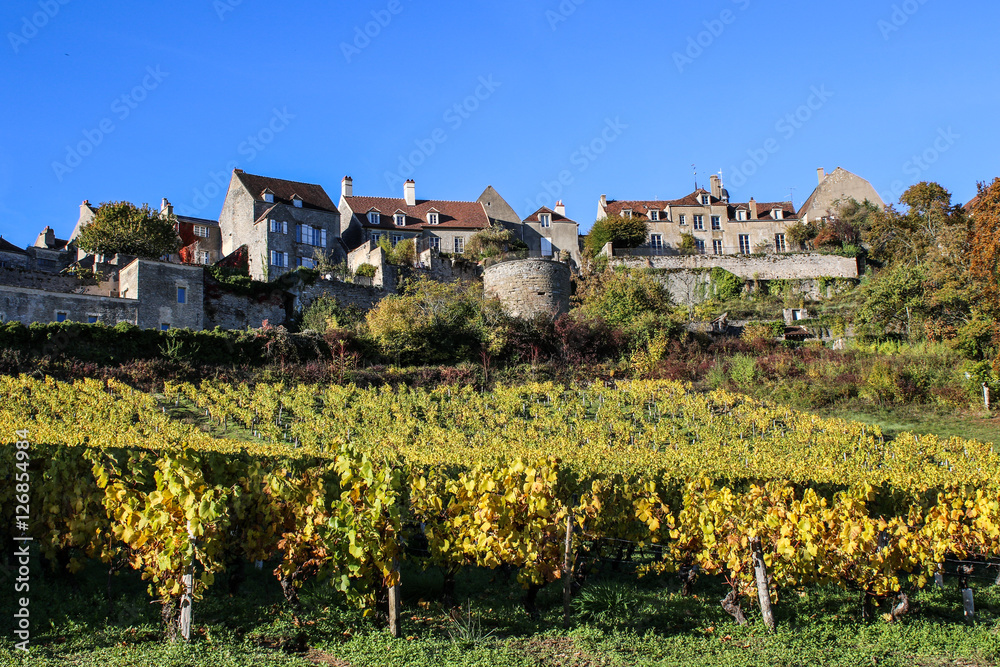 Vignoble de Bourgogne à Vézelay