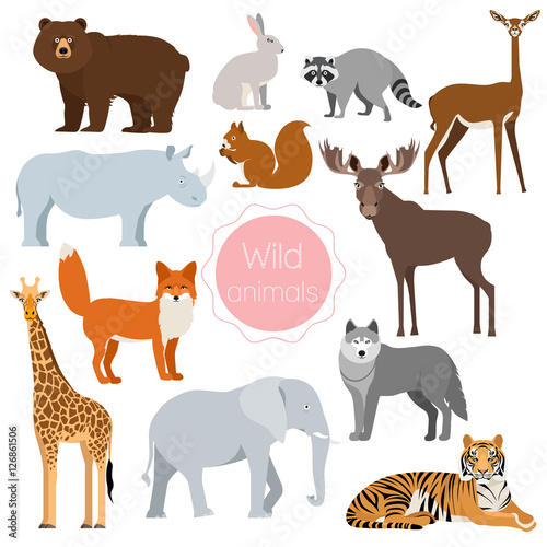 Set with wild animals. Fox  rhino  elephant  bear isolated on white background. Vector illustration