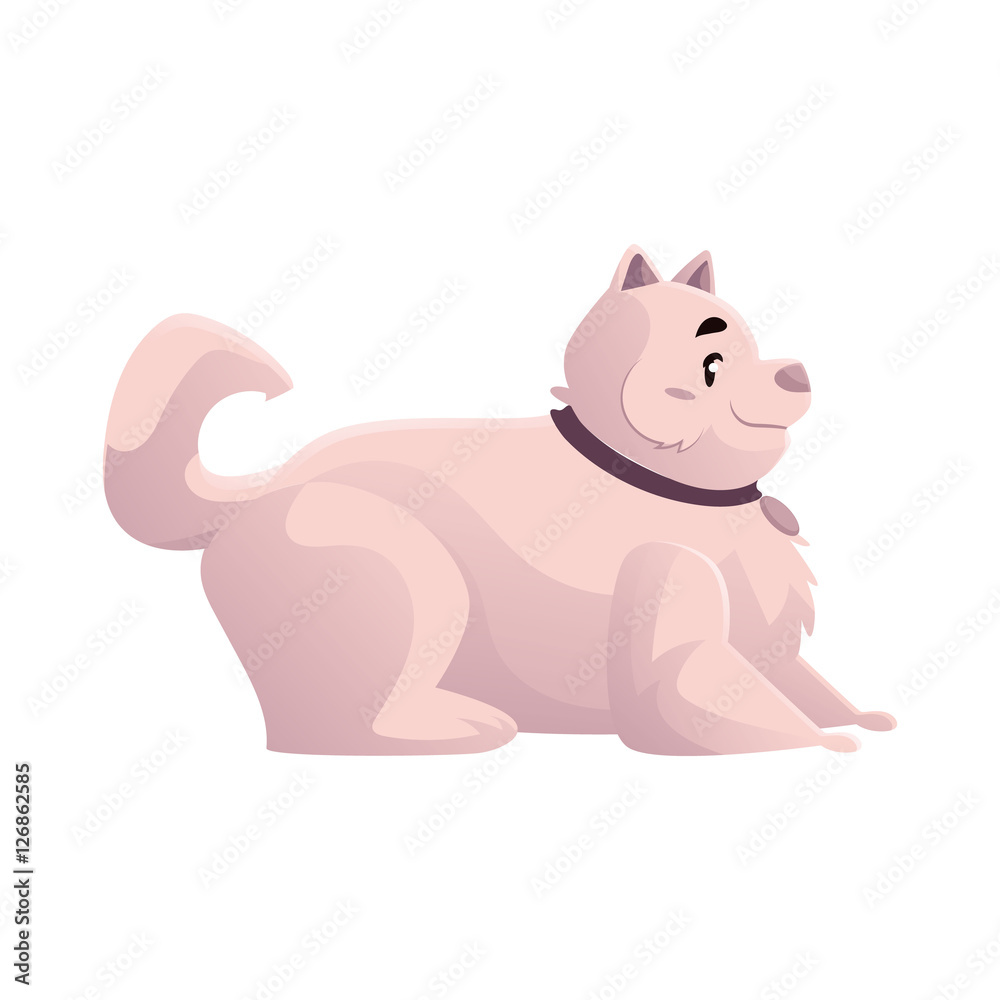 Cute and funny fat, chubby, fluffy white dog, cartoon vector illustration isolated on white background. Overweight chubby dog with a fluffy tail, fatty overfed domestic pet