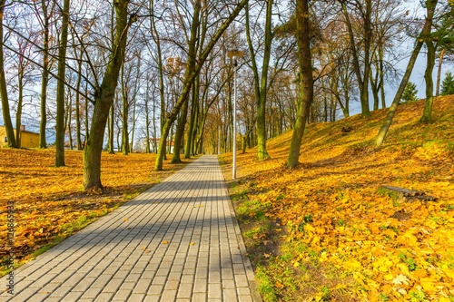 Colorful fall park in small city in Poland photo