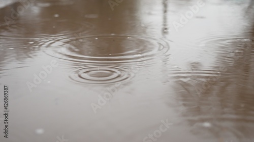 raindrops in puddle of water blue splash autumn nature overcast gloomily