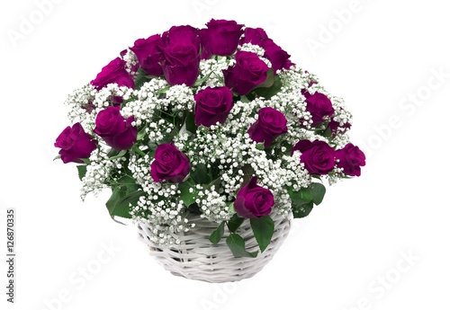 basket of beautiful roses isolated 