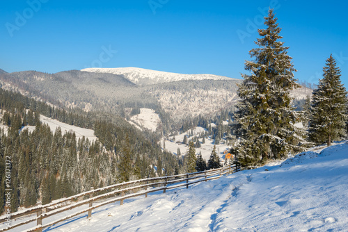 Small village among pine forest in the winter mountains