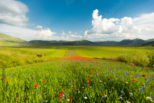 Castelluccio di Norcia