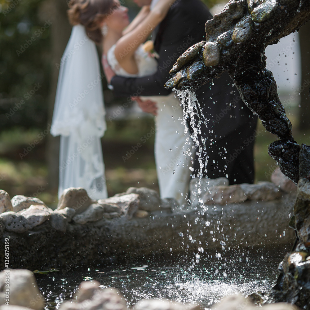 Just married behind fountain. Focus on foreground