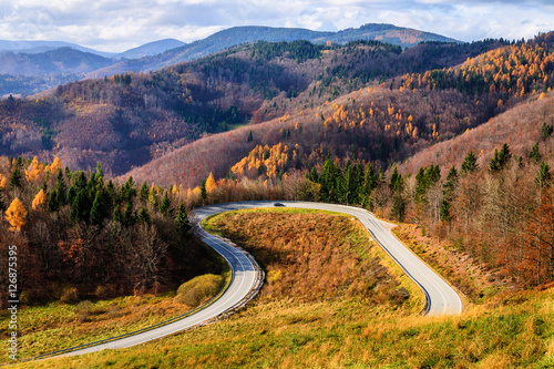 Naklejka Loop road in autumn forest