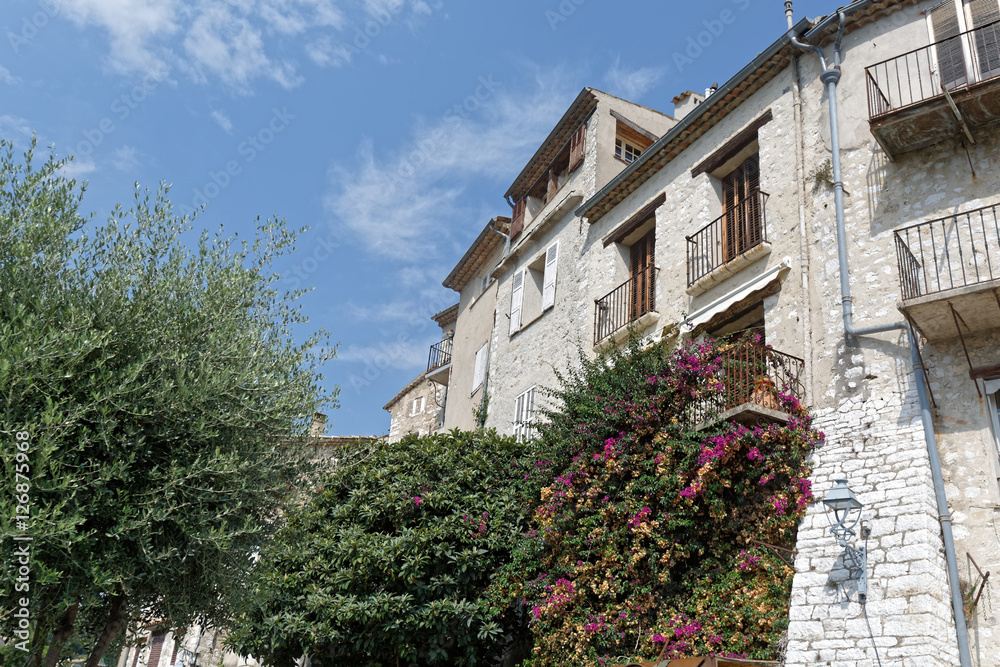 habitations traditionnelles en pierre,fleuries dans le village de Saint-Paul de Vence, Alpes-Maritimes, France
