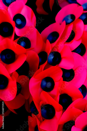 Remembrance Day photo