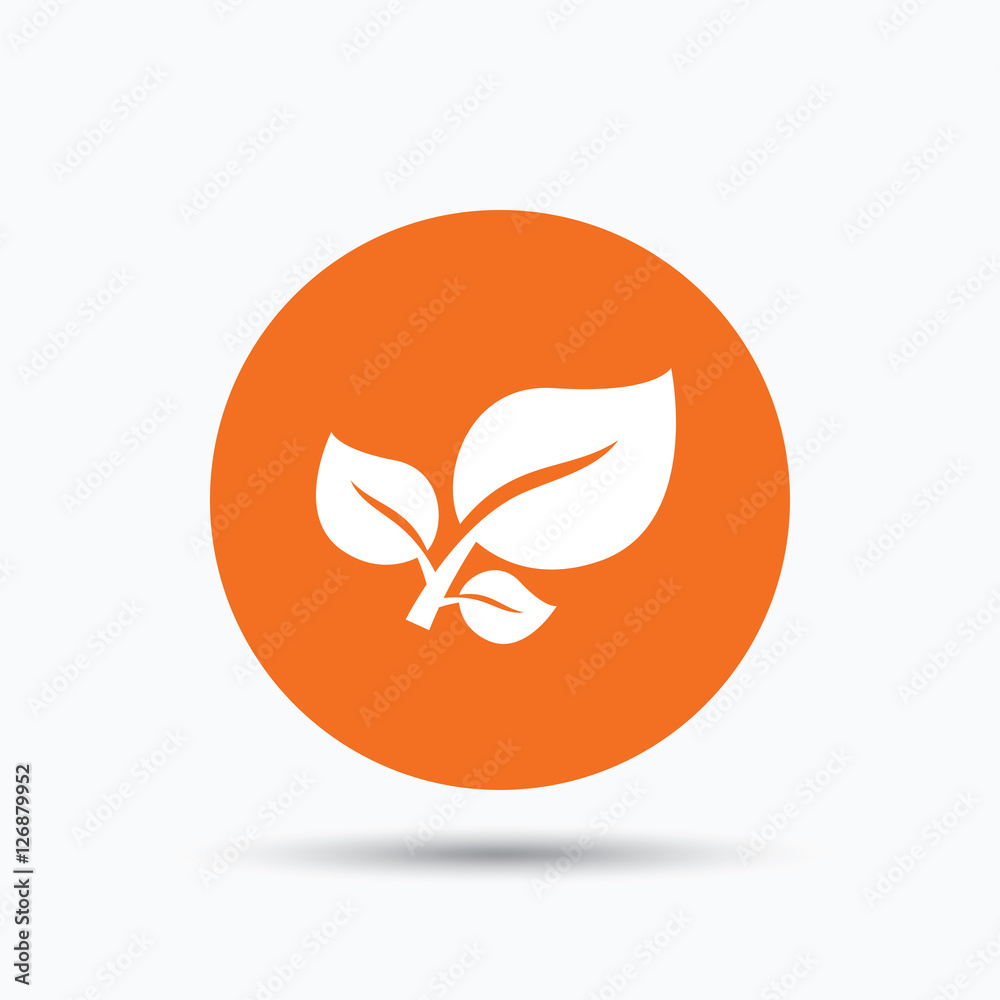 Leaf icon. Fresh organic product symbol. Orange circle button with flat web icon. Vector Leaf icon. Fresh organic product symbol. Orange circle button with flat web icon. Vector