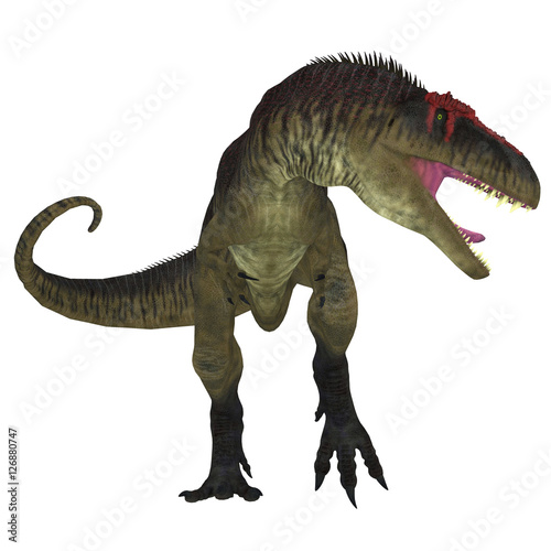 Tyrannotitan Predator - Tyrannotitan was a carnivorous theropod dinosaur the lived in Argentina in the Cretaceous Period. © Catmando