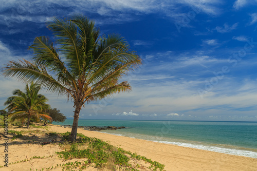 Tropical Beach with Palm Trees.