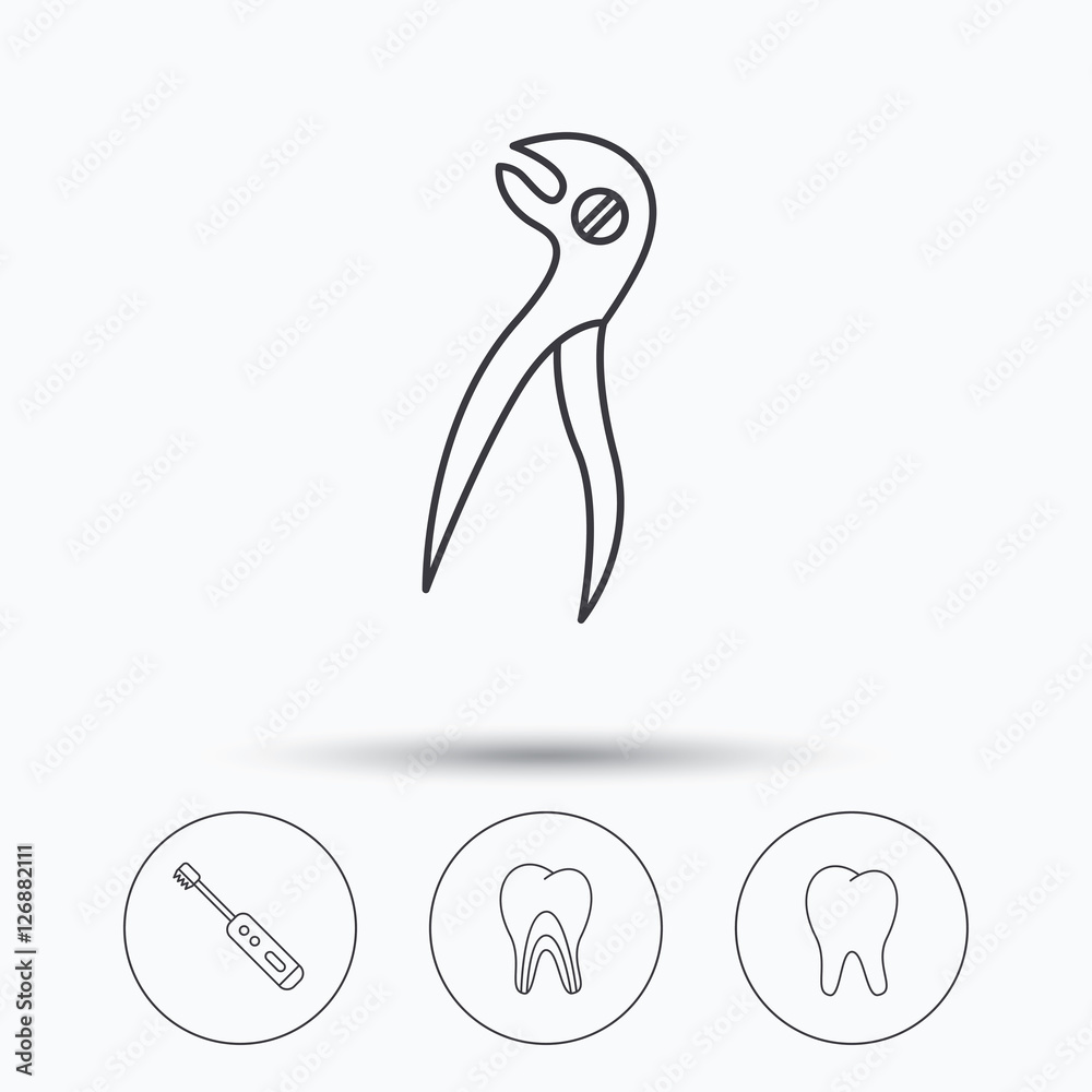 Tooth, electric toothbrush and pliers icons. Dentinal tubules linear sign. Linear icons in circle buttons. Flat web symbols. Vector Tooth, electric toothbrush and pliers icons. Dentinal tubules linear sign. Linear icons in circle buttons. Flat web symbols. Vector