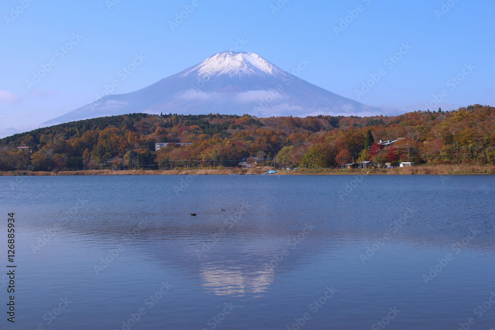 山中湖と富士山