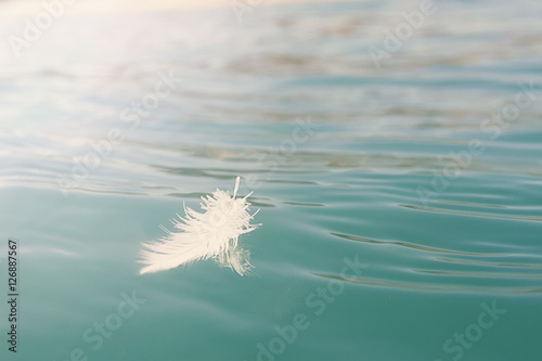 Floating feather