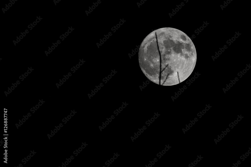 Super Moon Super Moon