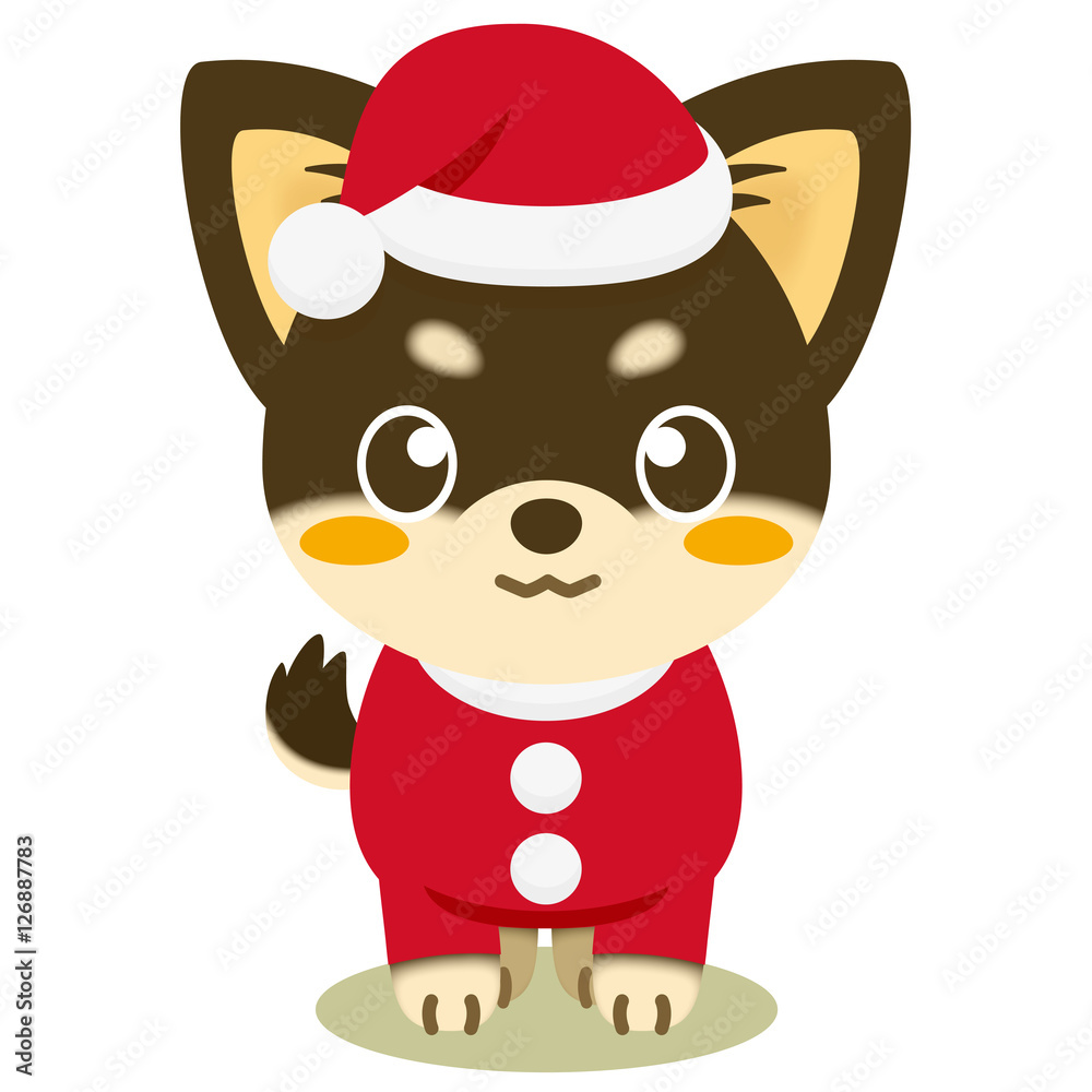 Fototapeta premium いぬっこ倶楽部 クリスマス チワワ（黒）