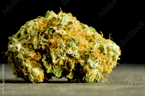 Marijuana bud close up